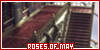 Roses of May fan